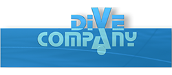 Logo: DIVE Company 